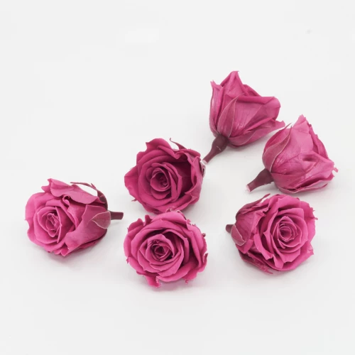 Gefriergetrocknete Rose mini 'pink' d4cm h3.5cm