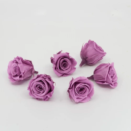 Gefriergetrocknete Rose mini 'lila' d4cm h3.5cm