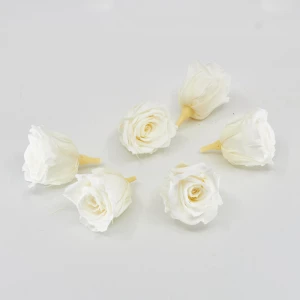 Gefriergetrocknete Rose mini 'elfenbein' d4cm h3.5cm