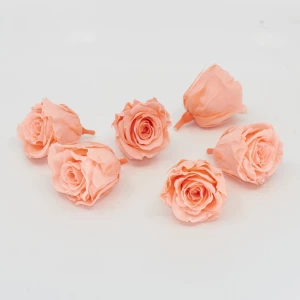 Gefriergetrocknete Rose mini 'peach' d4cm h3.5cm