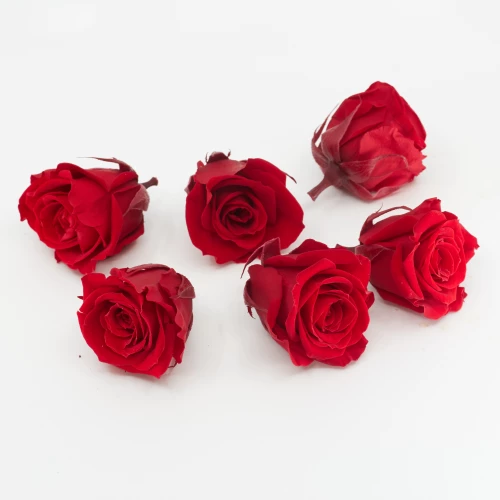 Gefriergetrocknete Rose mini 'rot' d4cm h3.5cm