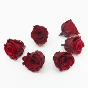 Gefriergetrocknete Rose mini 'bordeaux' d4cm h3.5cm