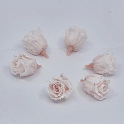Gefriergetrocknete Rose mini 'hellrosa' d4cm h3.5cm