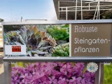 PflanzenBox Stauden