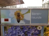 PflanzenBox Stauden
