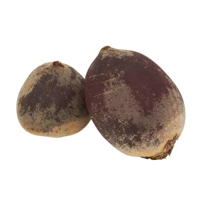 Setzlinge 'Randen'