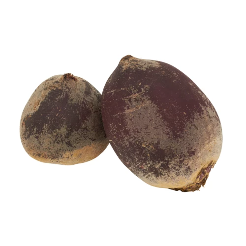 Setzlinge 'Randen'