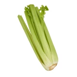Setzlinge 'Stangensellerie'