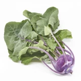 Setzlinge 'Kohlrabi blau'