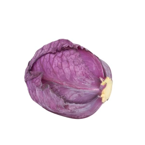 Setzlinge 'Rotkabis'