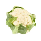 Setzlinge 'Blumenkohl'