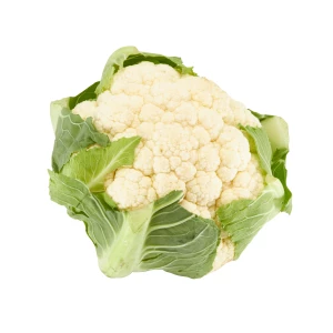 Setzlinge 'Blumenkohl'
