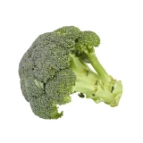 Setzlinge 'Broccoli'