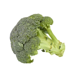 Setzlinge 'Broccoli'