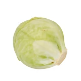 Setzlinge 'Weisskohl'