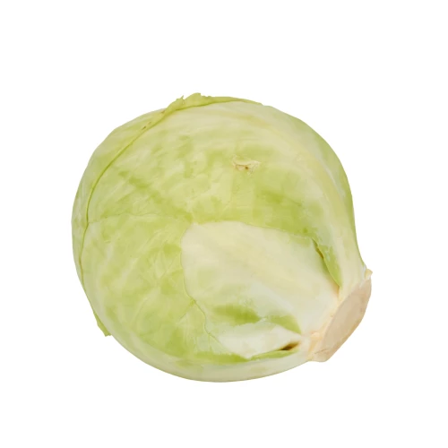 Setzlinge 'Weisskohl'