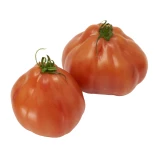 Jungpflanze 'Tomate Ochsenherz' veredelt