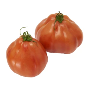 Jungpflanze 'Tomate Ochsenherz' veredelt