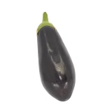 Jungpflanze 'Klassische Aubergine'