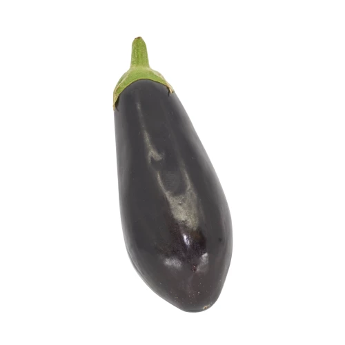 Jungpflanze 'Klassische Aubergine'