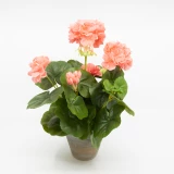 Geranium im Topf 'künstlich'