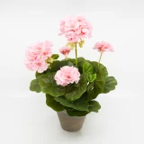 Geranium im Topf 'künstlich'