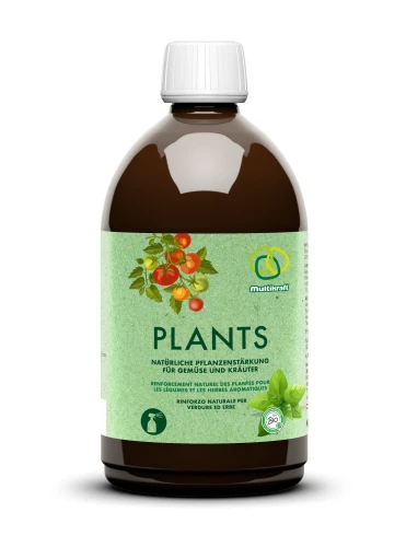 Multikraft Plants