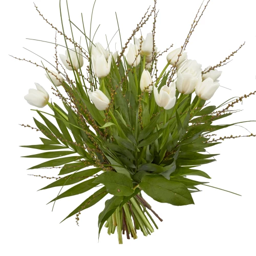 Strauss Tulpen in weiss