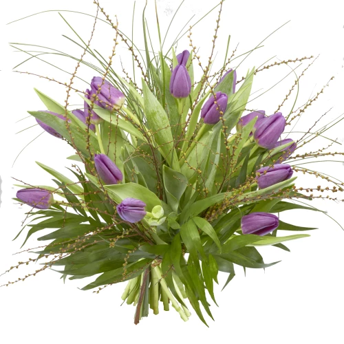 Strauss Tulpen in violett