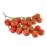Jungpflanze 'Cherry Tomate'