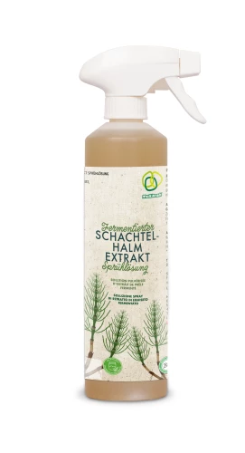 Schachtelhalmextrakt