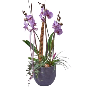 Orchideenschale 'rosa' ausgarniert