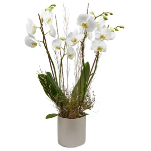Orchidee 'weiss' ausgarniert