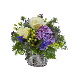 Strauss 'Mutters-Küsschen'