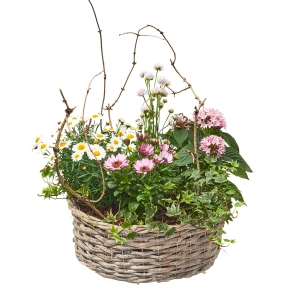 Pflanzkorb 'Gartentraum'