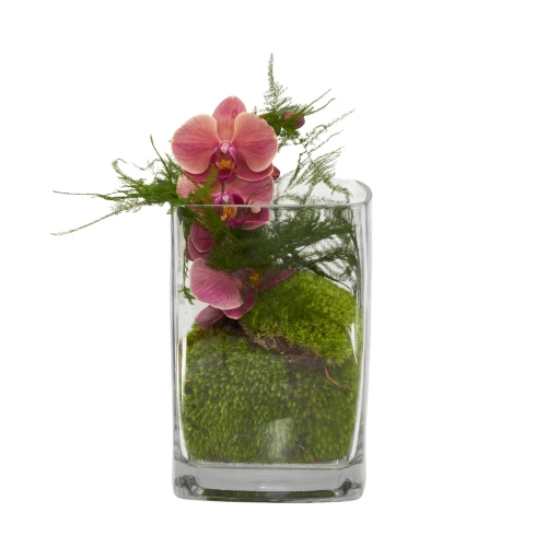 Vasenfüllung 'Exotic' mit Vase