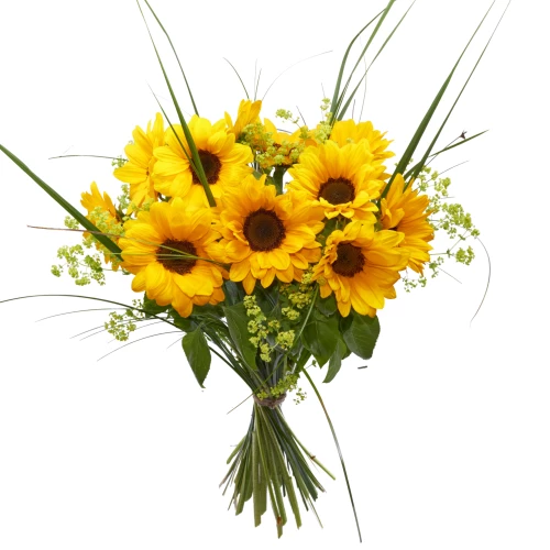 Sonnenblumen 'locker-gebunden'