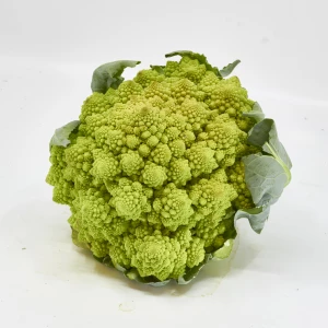 Setzlinge 'Romanesco'