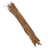 Eucalyptus 'Rinde'