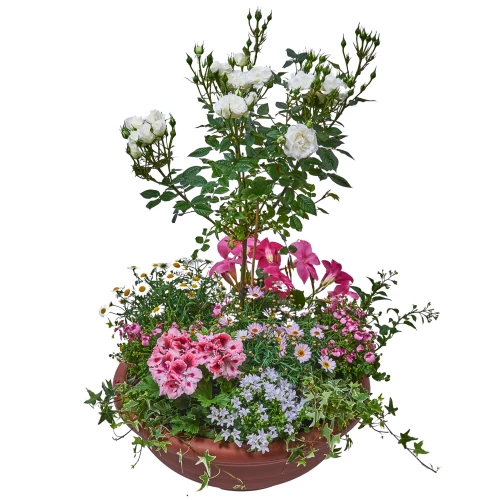 Trauerschale 'Danke'