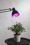LED Pflanzen-Leuchtmittel