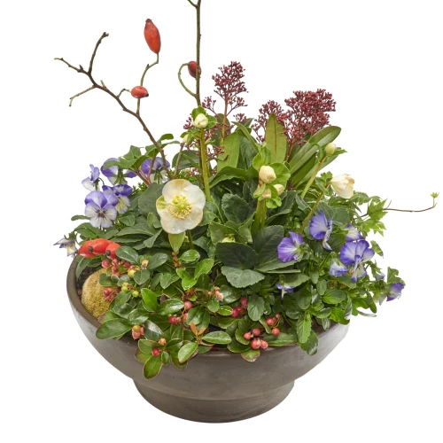 Herbstbepflanzung