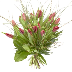 Strauss Tulpen in rot