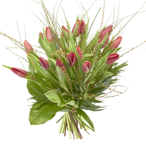 Strauss Tulpen in rot