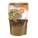 Bodensee Blütenträume 'Blütenzwerge'