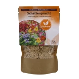 Bodensee Blütenträume 'Schattenpracht'