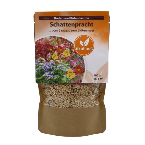 Bodensee Blütenträume 'Schattenpracht'
