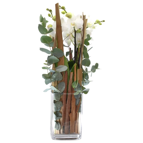 Orchidee 'Lifestyle' höhe 65cm mit Vase