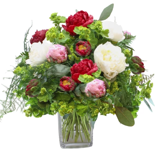 Strauss 'Romantische Pfingstrosen'