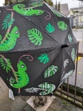 Kinder-Regenschirm farbverändernd